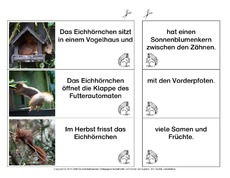 Eichhörnchen-Satzteile-verbinden-einfach 1.pdf